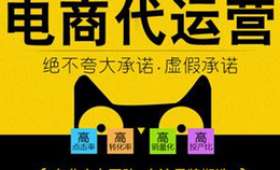 社区电商发展,创新模式与亮点突显 社区电商发展,创新模式与亮点突显